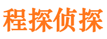 汉阳侦探公司